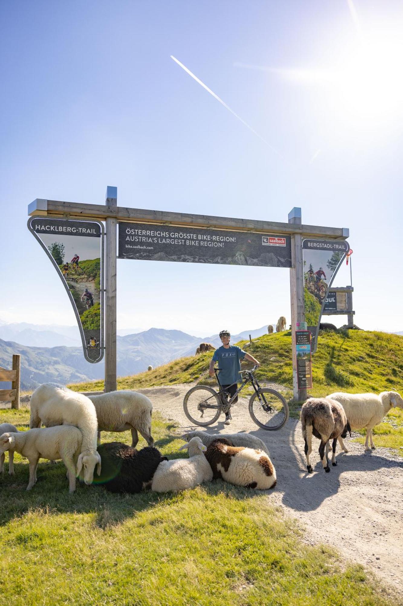Landhaus Saalbach - Joker Card Included In Summer Extérieur photo